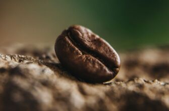 Фільтрована кава: що це таке і як її правильно приготувати вдома