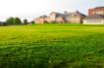Ідеальна висота газону: поради для збереження його здоров’я та краси
