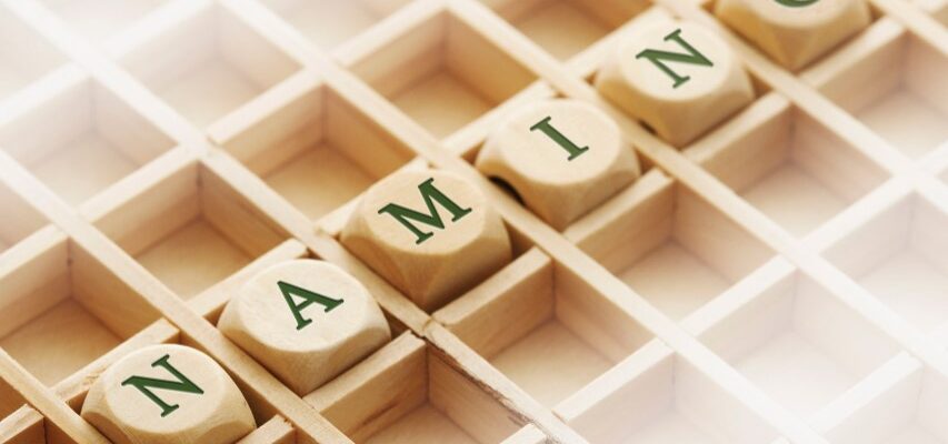 Неймінг: як створити ефективну назву для вашого бренду чи продукту