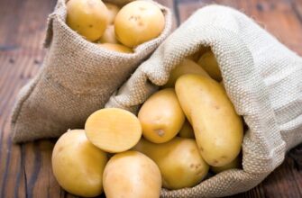 Що таке бараболя? Історія, походження та користь для здоров’я