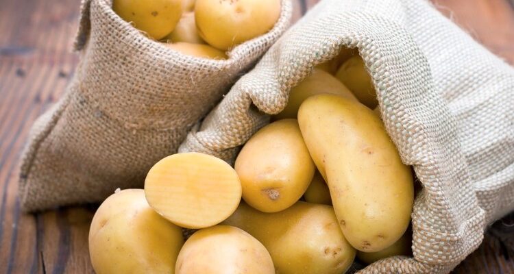 Що таке бараболя? Історія, походження та користь для здоров’я