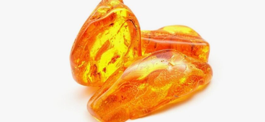 Бурштинова кислота: природний еліксир для здоров’я та енергії Бурштинова кислота: природний еліксир для здоров’я та енергії