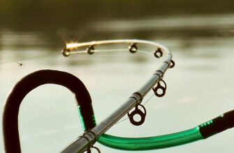 Фідерна рибалка: техніка та поради для успішного точного лову