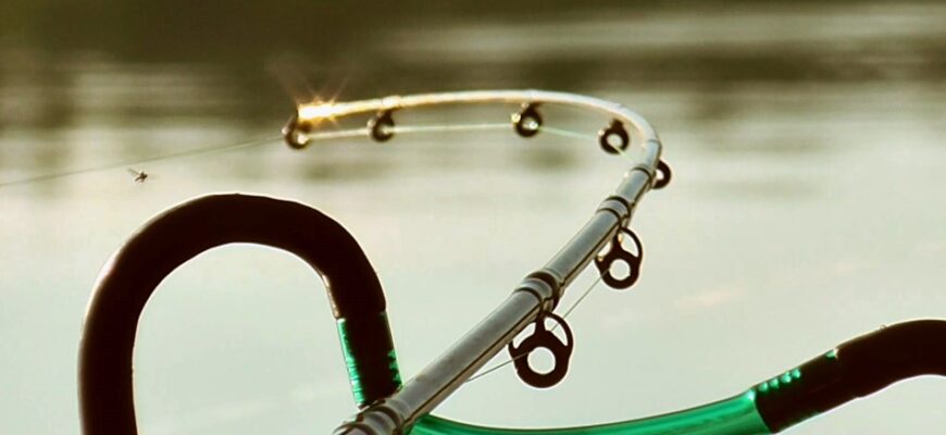 Фідерна рибалка: техніка та поради для успішного точного лову