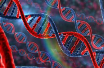 Що таке генетика: розуміння основ генетичних механізмів людини