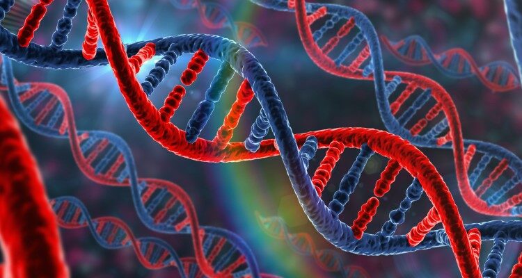 Що таке генетика: розуміння основ генетичних механізмів людини Що таке генетика: розуміння основ генетичних механізмів людини