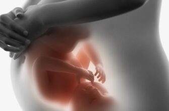 Гіпоксія плоду: причини, симптоми та ефективні методи профілактики