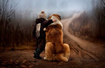 Людяність: глибинне розуміння та сучасні прояви в суспільстві