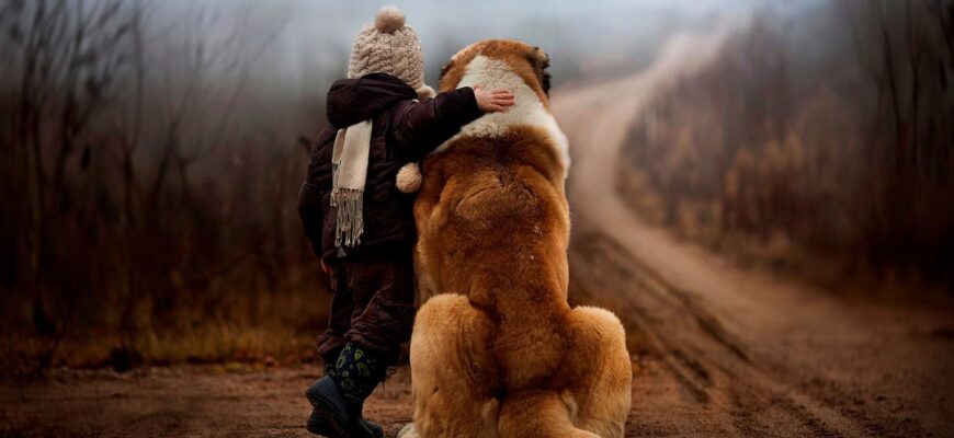 Людяність: глибинне розуміння та сучасні прояви в суспільстві