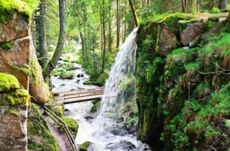 Розкриття пейзажної лірики: що це таке і чому воно важливо?