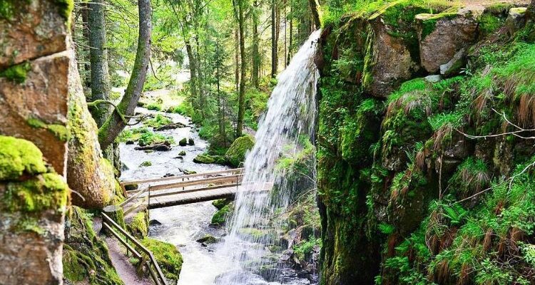 Розкриття пейзажної лірики: що це таке і чому воно важливо?