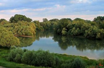 Протока: Визначення, особливості та значення в географії та екології