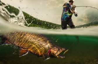 Що Таке Принада: Розкриття Значення та Застосування у Житті