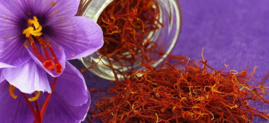 Шафран: що це таке, застосування та корисні властивості спеції
