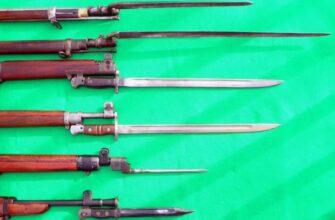 Вібріси: Функції, значення та роль у житті тварин та людей