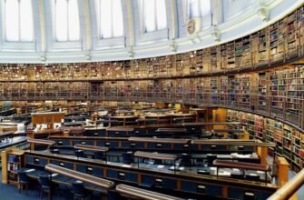 Що таке бібліотека: функції, види та значення для суспільства