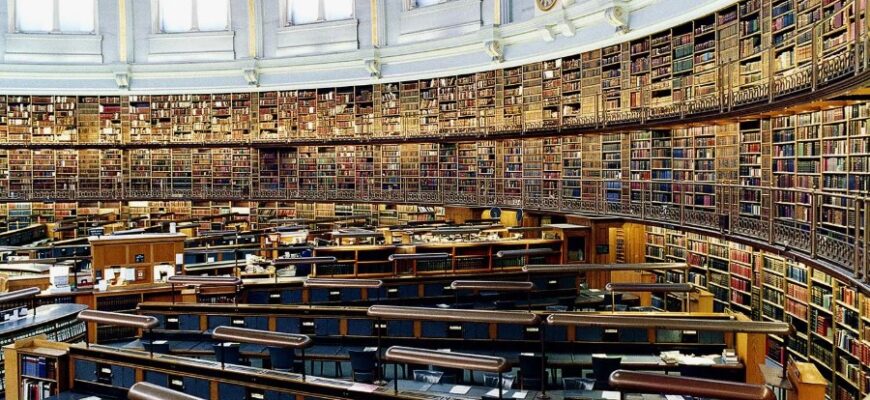 Що таке бібліотека: функції, види та значення для суспільства