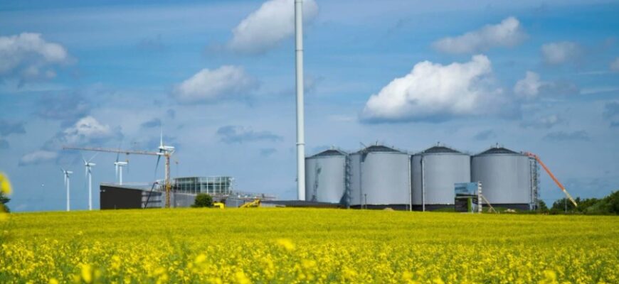 Біоенергетика: Визначення, принципи та значення для екології