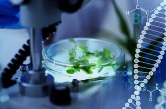 Що таке біотехнологія: основи, застосування та перспективи розвитку