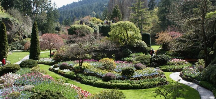 Що таке ботанічний сад: огляд, значення та користь для природи