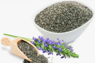 Все, що треба знати про чіа: Корисні властивості та використання насіння