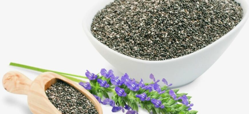 Все, що треба знати про чіа: Корисні властивості та використання насіння