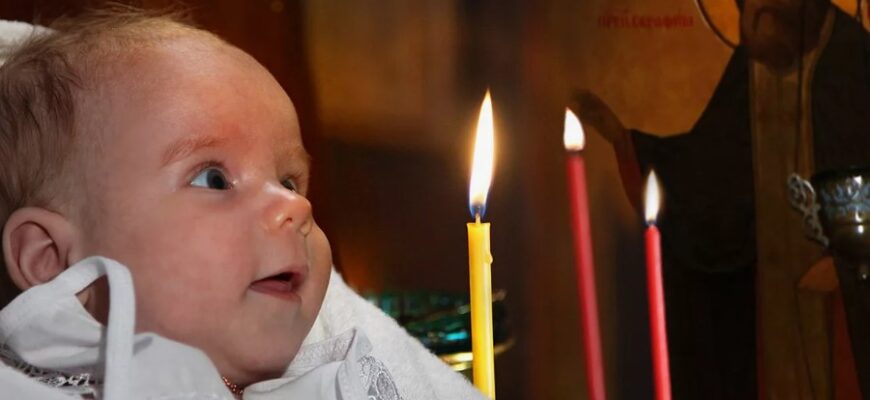 Що таке сироватка крові: склад, функції та застосування в медицині Що таке сироватка крові: склад, функції та застосування в медицині