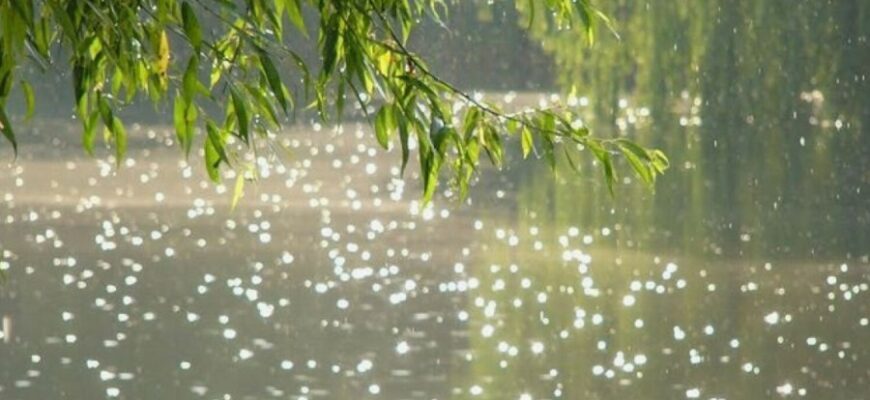 Дощ: визначення, причини та вплив на навколишнє середовище