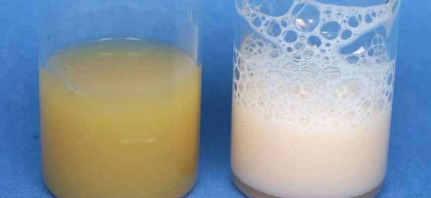 Емульсія: Визначення, основні властивості та застосування в житті