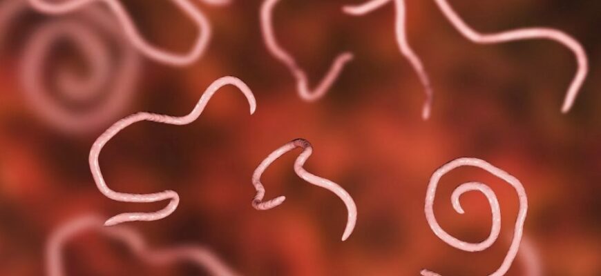 Що таке Євросоюз: структура, функції та переваги для країн-учасниць