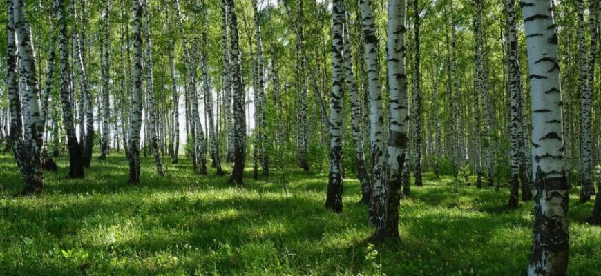 Забобони: що вони означають і чому продовжують впливати на нас? Забобони: що вони означають і чому продовжують впливати на нас?