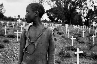 Що таке програмне забезпечення комп’ютера: Основи та види ПО для ПК