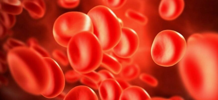 Що таке група крові: значення, особливості і як визначити свою