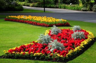 Оптимізоване керівництво: що таке клумба та як створити свій шедевр