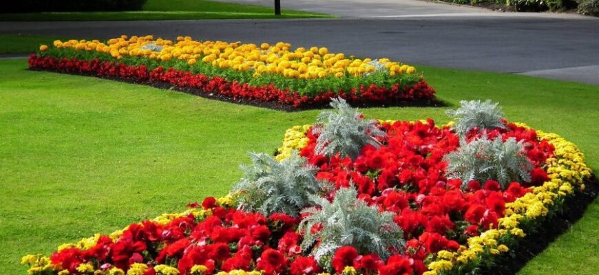 Оптимізоване керівництво: що таке клумба та як створити свій шедевр