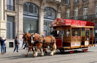 Конка: Історія, Види та Використання у Сучасному Транспорті
