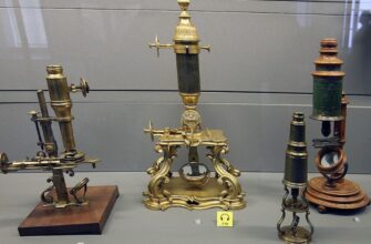 Мікроскоп: будова, принципи роботи та види оптичних приладів