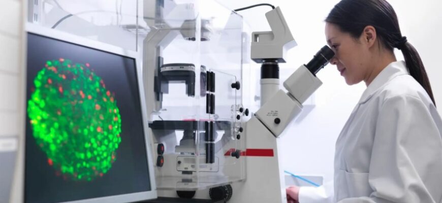 Що таке мікроскопія: розкриваємо таємниці невидимого світу