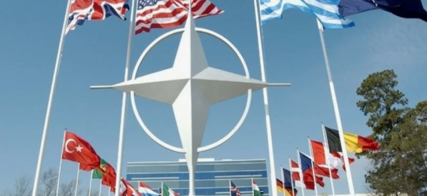 Що таке НАТО: значення, роль та місце в сучасному світі