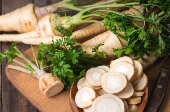 Відкрийте для себе користь пастернака: склад, властивості та використання