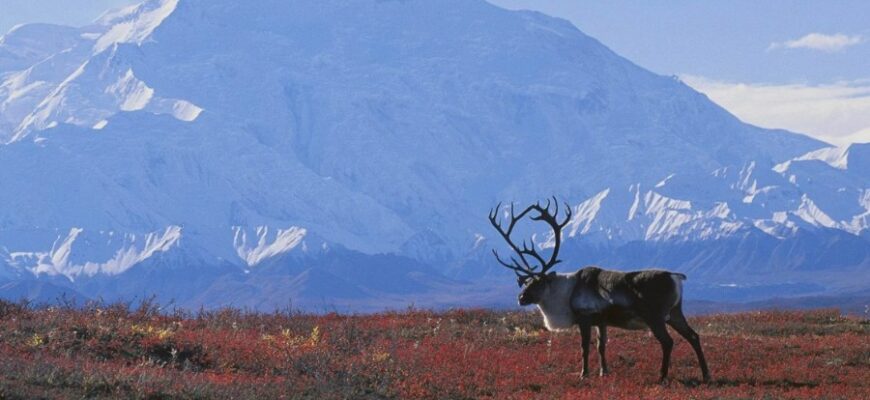 Природа: визначення, значення та вплив на наше життя і планету