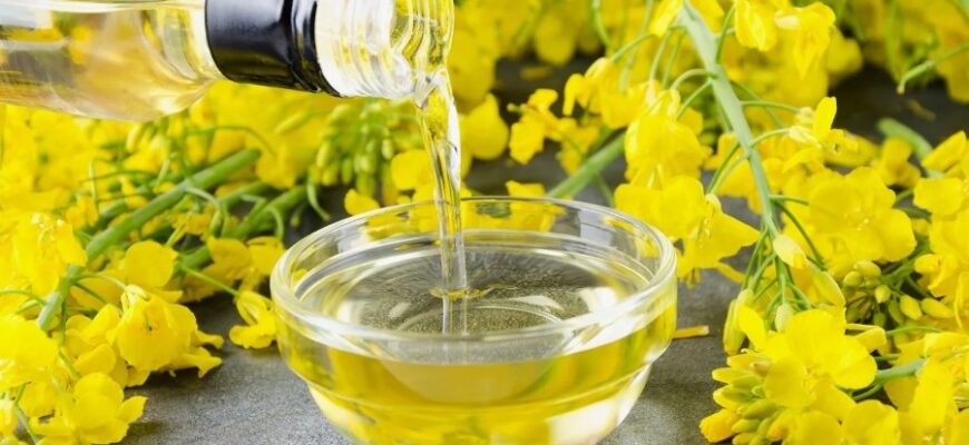 Що таке рослинне масло: види, користь та способи застосування