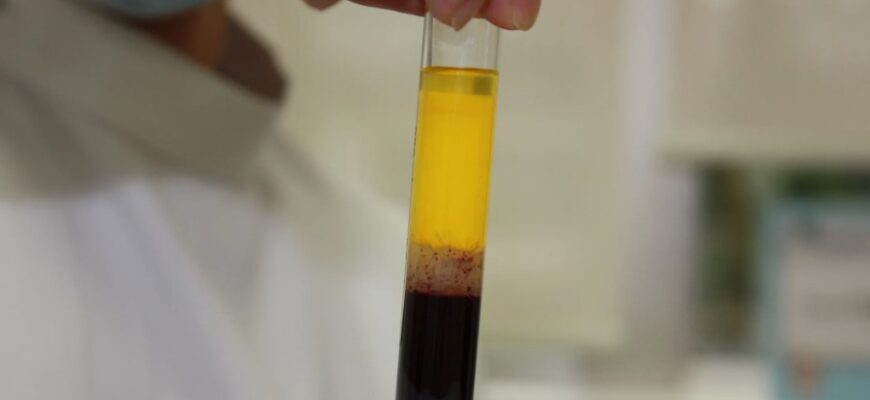 Що таке День Ангела: Важливість і Традиції Святкування в Україні Що таке День Ангела: Важливість і Традиції Святкування в Україні