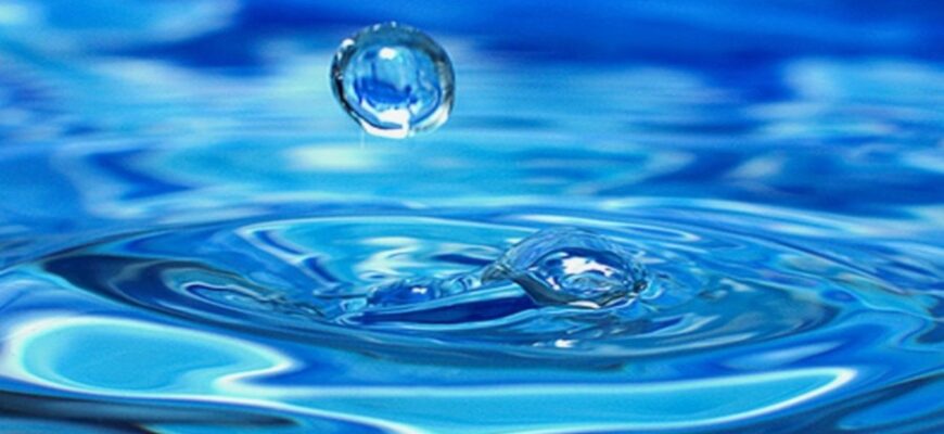 Відкрийте секрети касторової олії: користь, застосування та ефекти