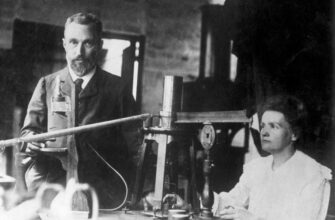 Вершкове масло: що це таке, користь та застосування в кулінарії