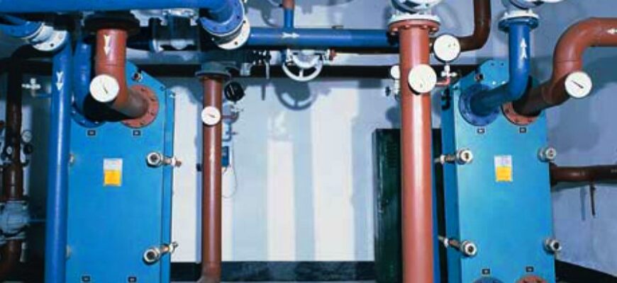 Камбала: особливості, середовище існування та харчова цінність риби Камбала: особливості, середовище існування та харчова цінність риби