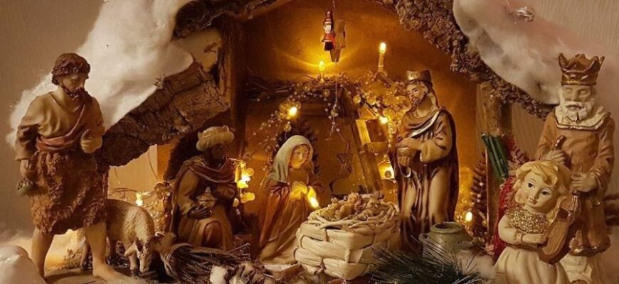 Віварій: Визначення, призначення та особливості утримання тварин Віварій: Визначення, призначення та особливості утримання тварин