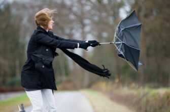 Вітер: Визначення, причини виникнення та вплив на атмосферу
