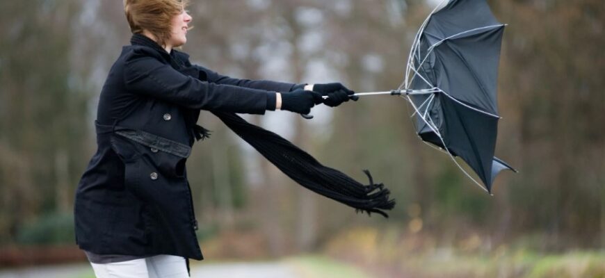 Вітер: Визначення, причини виникнення та вплив на атмосферу