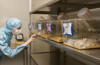 Вертеп: що це таке і як він впливає на українську культуру?